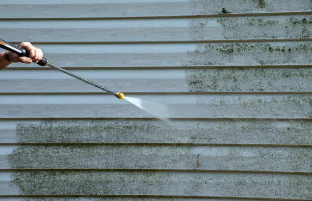Animal Enclosure Cleaning in Summit View, WA